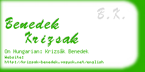 benedek krizsak business card
